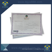 Hot Stamping Sticker Security Paper Degree Certificate in Dongguan